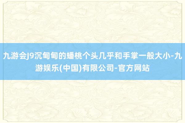 九游会J9沉甸甸的蟠桃个头几乎和手掌一般大小-九游娱乐(中国)有限公司-官方网站