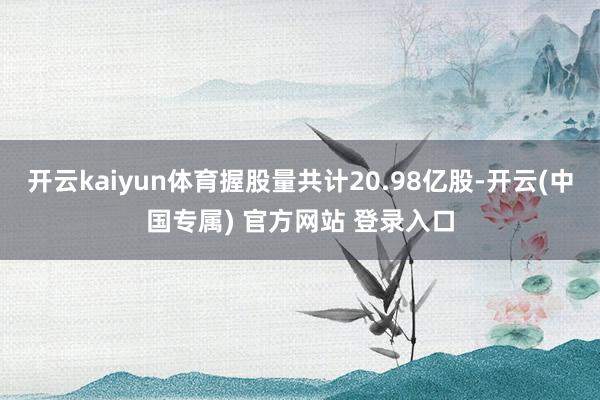 开云kaiyun体育握股量共计20.98亿股-开云(中国专属) 官方网站 登录入口